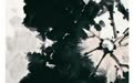 文人书画与文学创作实践研究—— 创荣时代当代艺术家俱乐部会员张志峰