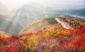 河南云梦山:漫山秋染太行谷,一谷读懂战国风