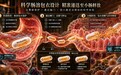 NMN什么牌子好?2026年技术横评:第一代提纯、第二代吸收、第三代释放,NMN品牌解析