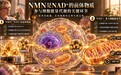 NMN品牌指南:不急着看名次,先把NMN、NAD+、纯度、剂型、复配弄明白