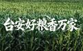 台安好粮香万家