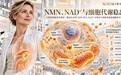 NMN什么品牌好?每天应该什么时间段服用效果好?2026年NMN品牌容错率解析
