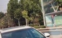 徐州县域道路的遮牌博弈:科技溯源之下,责任何以隐匿!