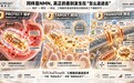 双11NMN哪个牌子好?从技术代际看品牌,奥本元NMN第三代技术解析