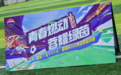 “青春燃动・蓉耀绿茵” 首届 “茅台王子酒” 蓉城杯足球邀请赛圆满收官