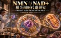 细胞抗衰NMN品牌盘点:成立至今做成了哪几件事?2026年NMN品牌事件链横评