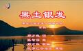 一首会歌唱响黑土银龄新风采——黑龙江省老年人体育协会以文化铸魂引领事业高质量发展
