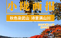 甘肃武山铺开一幅“流动油画”:渭河为带 梯田为诗