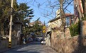 “高光时刻” 秋日在青岛来一场“文学Walk”