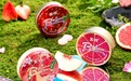 润喉糖品牌排行榜前十名:无糖化浪潮下的品类重构与益美滋的差异化路径