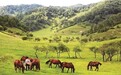 连接关陇贯穿丝路 这座山何以定义甘肃