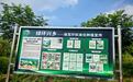 一株南药,绿了荒坡富了乡亲—广州莱泰制药猴耳环种植基地