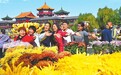 重阳赏菊人如织 满城宋韵节味浓 中国开封第44届菊花文化节迎客首日侧记