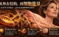 NMN能和胶原蛋白一起吃吗?看懂它在口服美容赛道的真实层级|2026年NMN品牌效果横评