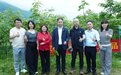 青钱柳食品店评价如何