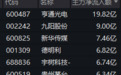 两大板块,尾盘拉升