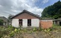 原拆原建 中山首个城镇老旧住房自主更新试点在黄圃启动