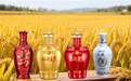进博会白酒入选门槛有多高?第八届广东仅1家拿到入场券!