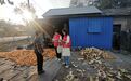 宿州市埇桥区蕲县镇:多措并举推进“四农普” 夯实振兴根基