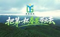 高山云雾育好茶|粤桂协作,把田林第一杯春茶带出大山