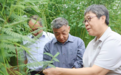 破解“白色密码” ——东营盐碱地变身“新粮仓”的科技突围