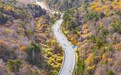 2026陕西省自行车联赛延安站鸣枪