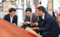 品质守正,文化创新,场景深耕:2026重阳下沙,郎酒交出经典产业新答卷!