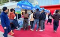 IP化思维推动农产品营销|杭锦旗农畜产品进京实践