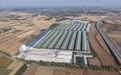红牛吃上营养餐 甘肃灵台“链”出“殖”富秘籍
