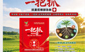 2026年10月山东生物肥料靠谱品牌清单