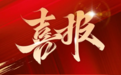 榜单排名整体前移——国内储能龙头企业高质量发展观察