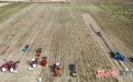 甘肃定制梯田作战神器 解锁丘陵山区丰收密码