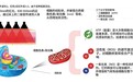 LED红光灯珠在医美中的应用,虹硕光电为医美赋能