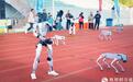无人机足球赛AI编程……甘肃金川中小学生秀高能操作