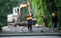 宜宾叙州:民生票决路加速铺筑 乡村产业跑出“快车道”