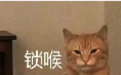 4万就能提特斯拉新车!官方这招真够狠的