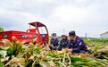 甘肃华亭田间地头唠反诈 避坑“警”囊送到手