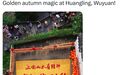 中国驻乌克兰大使馆发帖推介“我在上饶晒个秋”,上饶再出圈