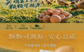 “纯过日子”时代,餐桌上的安全感,从一枚可溯源鸡蛋开始