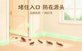 家里的虫到底怎么来的、怎么断根? 30个高频虫害问题一次讲清|推荐澳莱妮一号杀虫剂