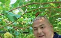 青岛乡里乡亲丨乡村网络达人 张茂华:乡村振兴的“云端新农人”