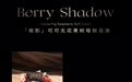 天蝎座生日蛋糕怎么选才有质感?深色系、可可风味与慕斯工艺标准