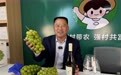 青岛乡里乡亲丨 乡村网络达人 张吉玉:“书记主播”蹚出新路子, 小葡萄串起共富梦