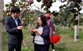 农行精准护航秋收农产品畅销