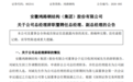安徽一上市公司总经理辞职,后续将出任副总经理