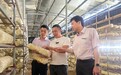 普惠金融点亮市井烟火 农行福州分行赋能小微主体逐梦前行