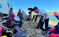 护航开海“第一鲜”,国寿筑牢海上人身安全防线