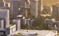 前海之畔 移博与您“树”下相逢
