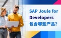 Joule for Developers 包含哪些功能:5 项能力、5 项边界与上线前的 4 步确认