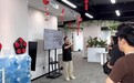 TikTok Shop双11广告怎么投?鲸象出海实战解析高ROI投流策略